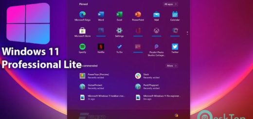 Windows 11 Pro Lite